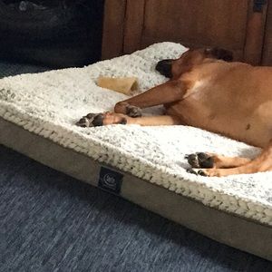 Meet your Posher, Raquel